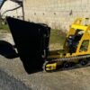 Dumper Phoenix